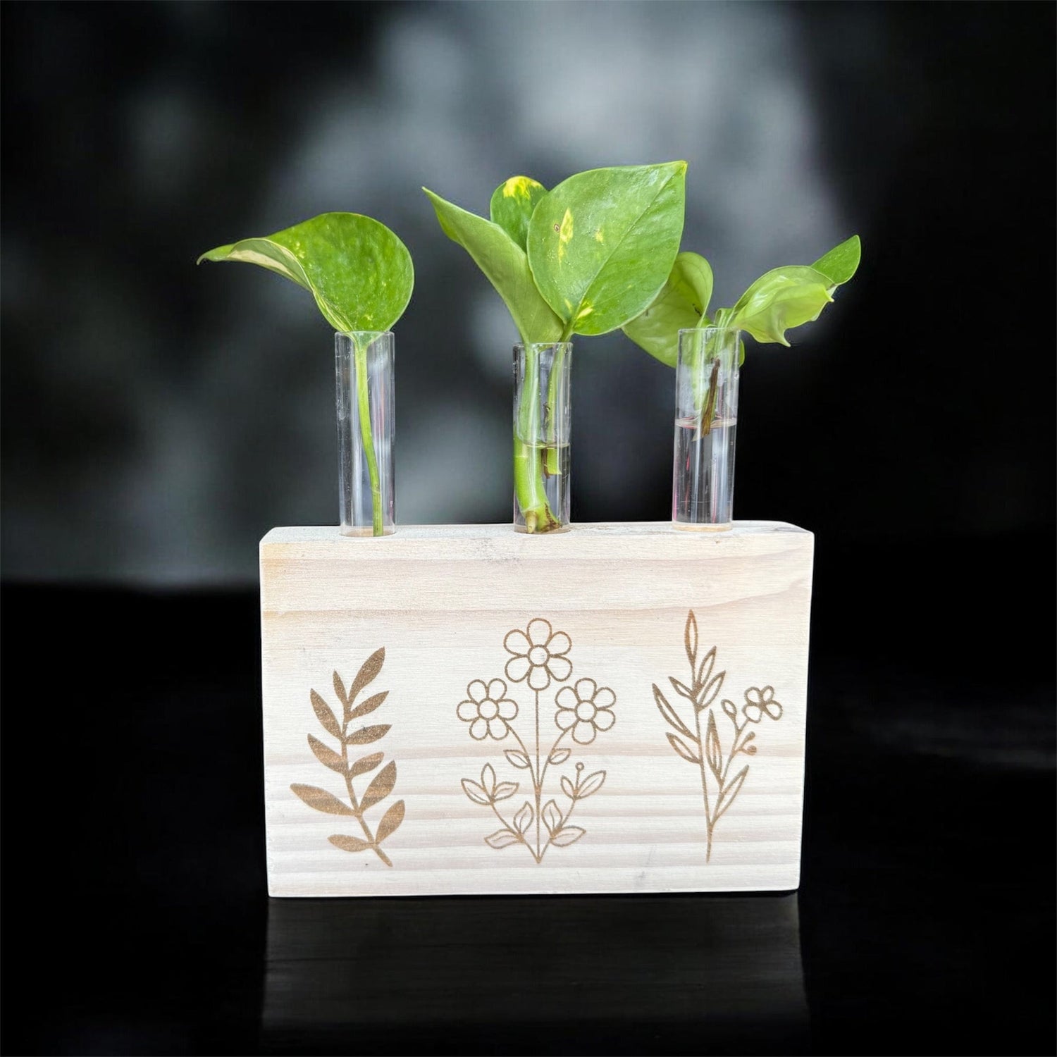 Propagators
