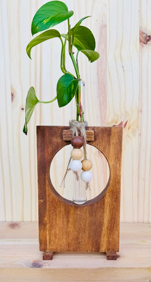 Modern wood propagator