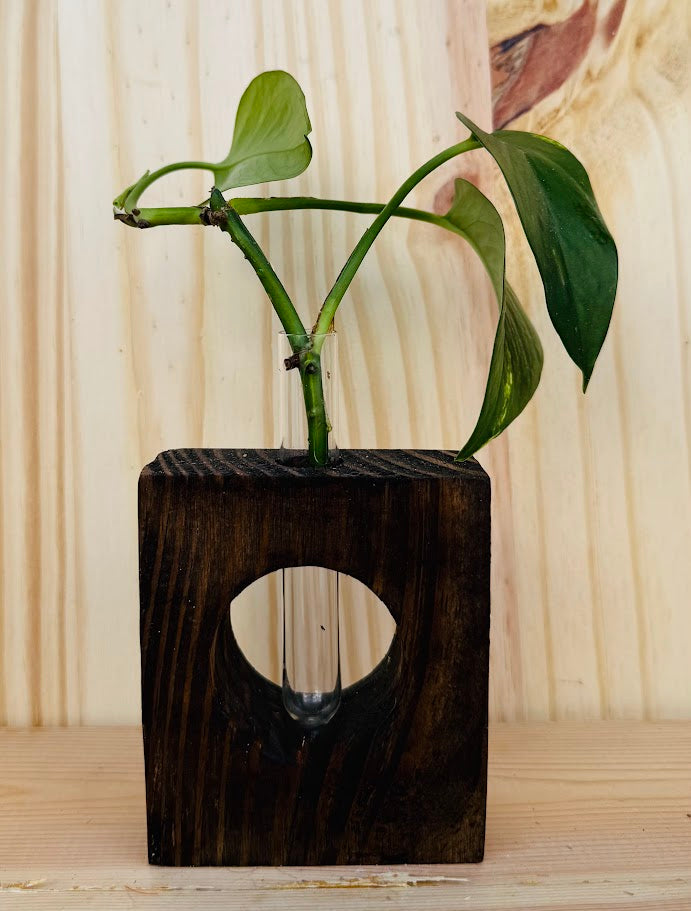 Propagator small expresso