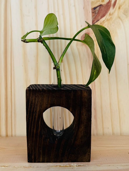 Propagator small expresso