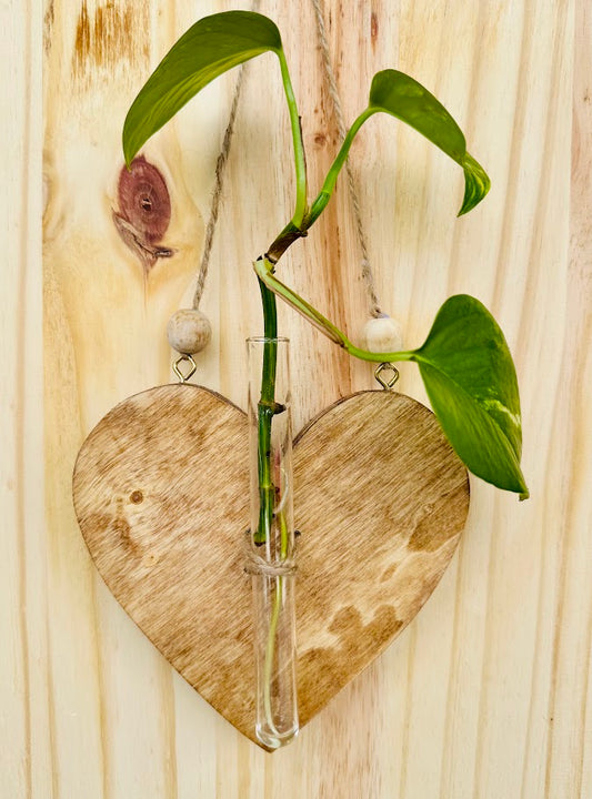 Hanging Heart 1 tube propagator