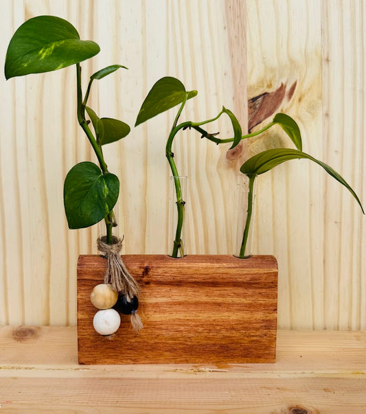 Propagator 3 tube 6x4inch gunstock