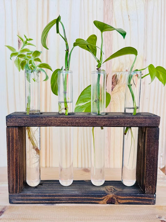 Propagator - 4 tube