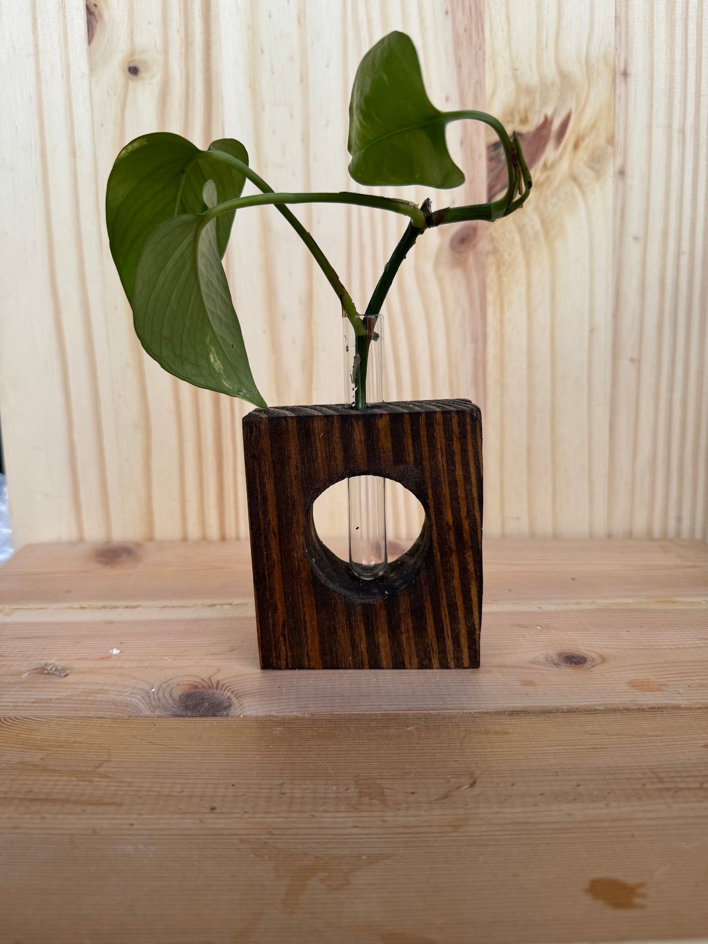 Propagator small expresso