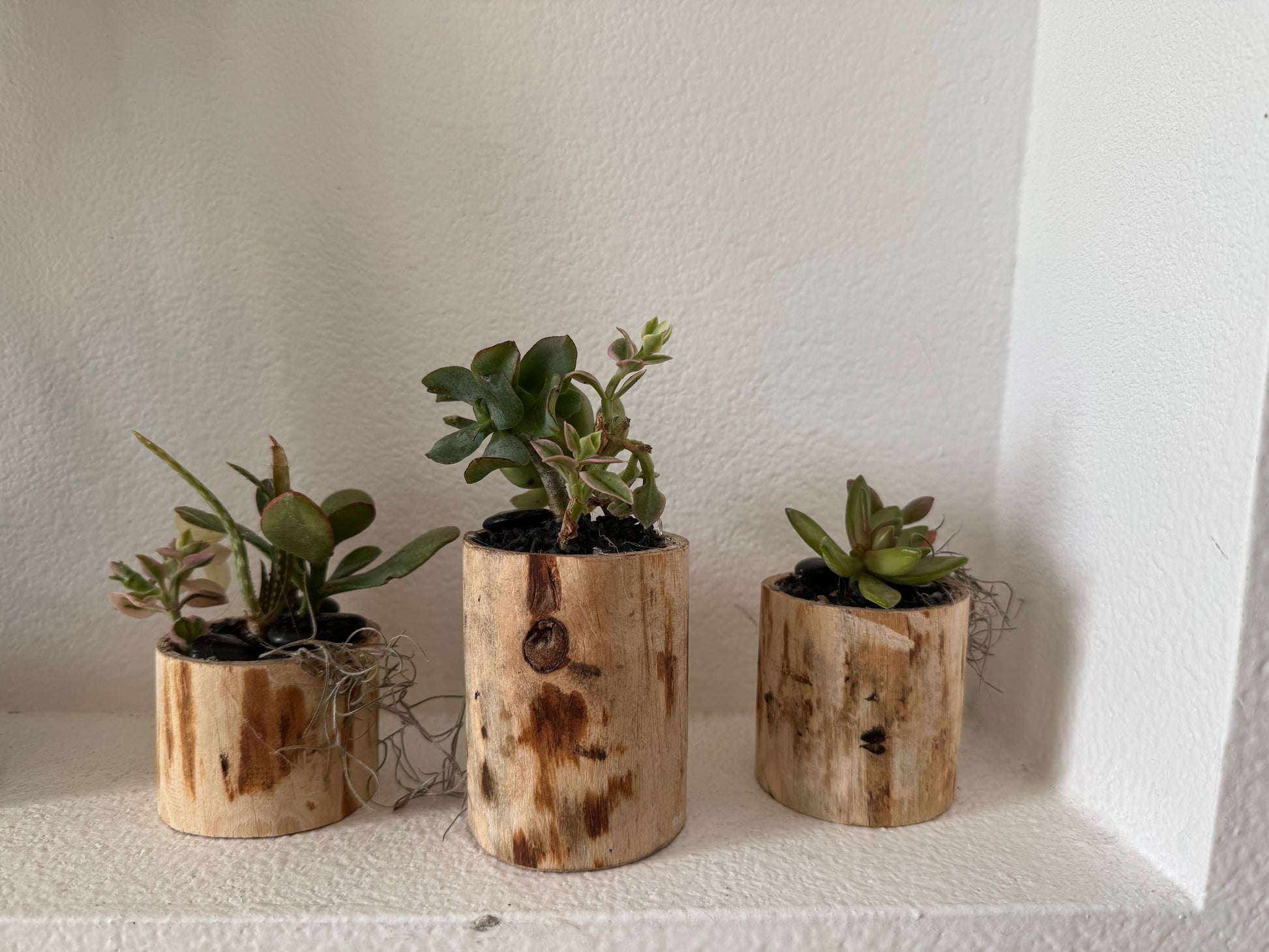 wooden succulent holder Succulent planter – Rustic Roots Wood Decor LLC