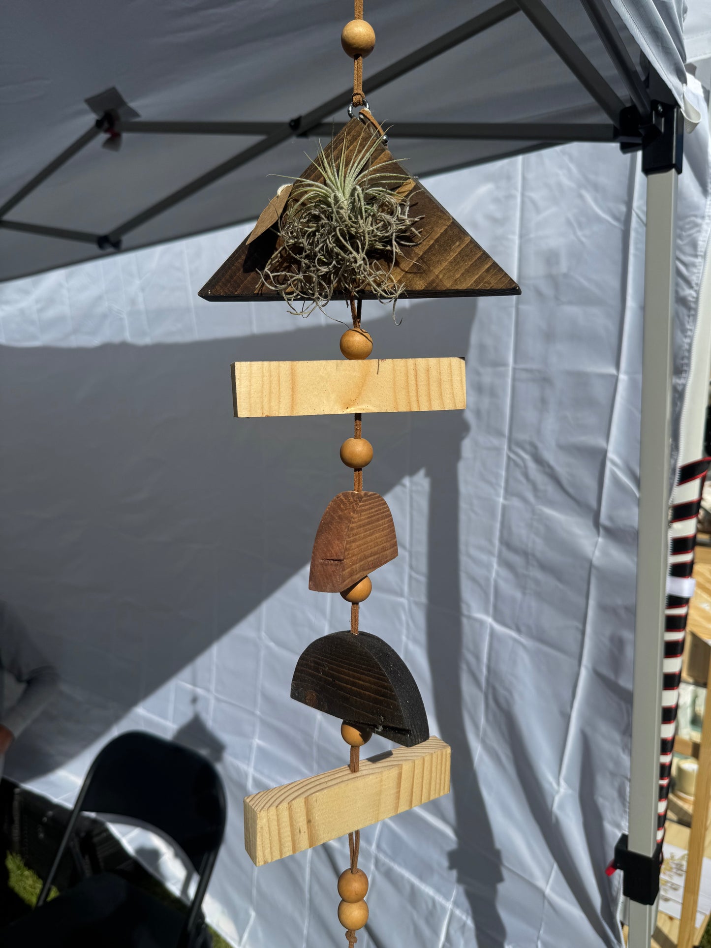 Hanging geometric airplant