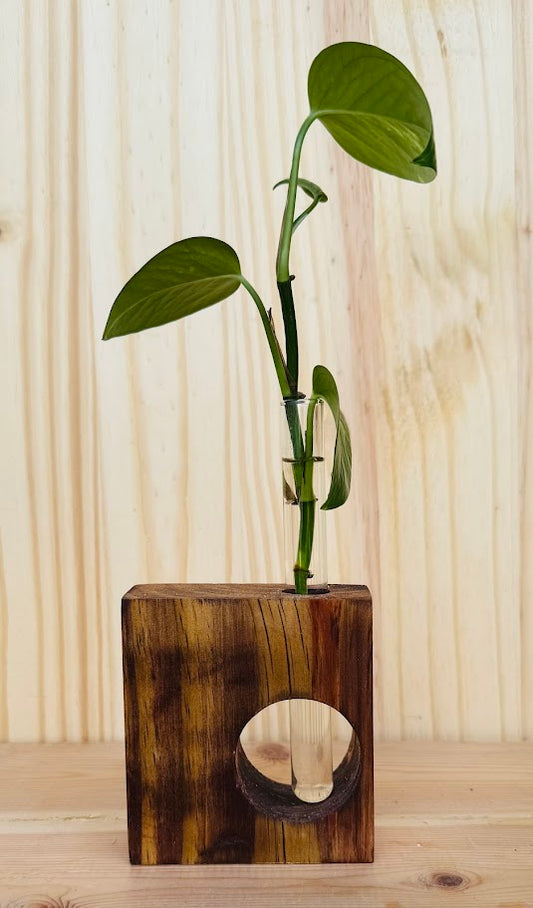 Propagator - 1 tube